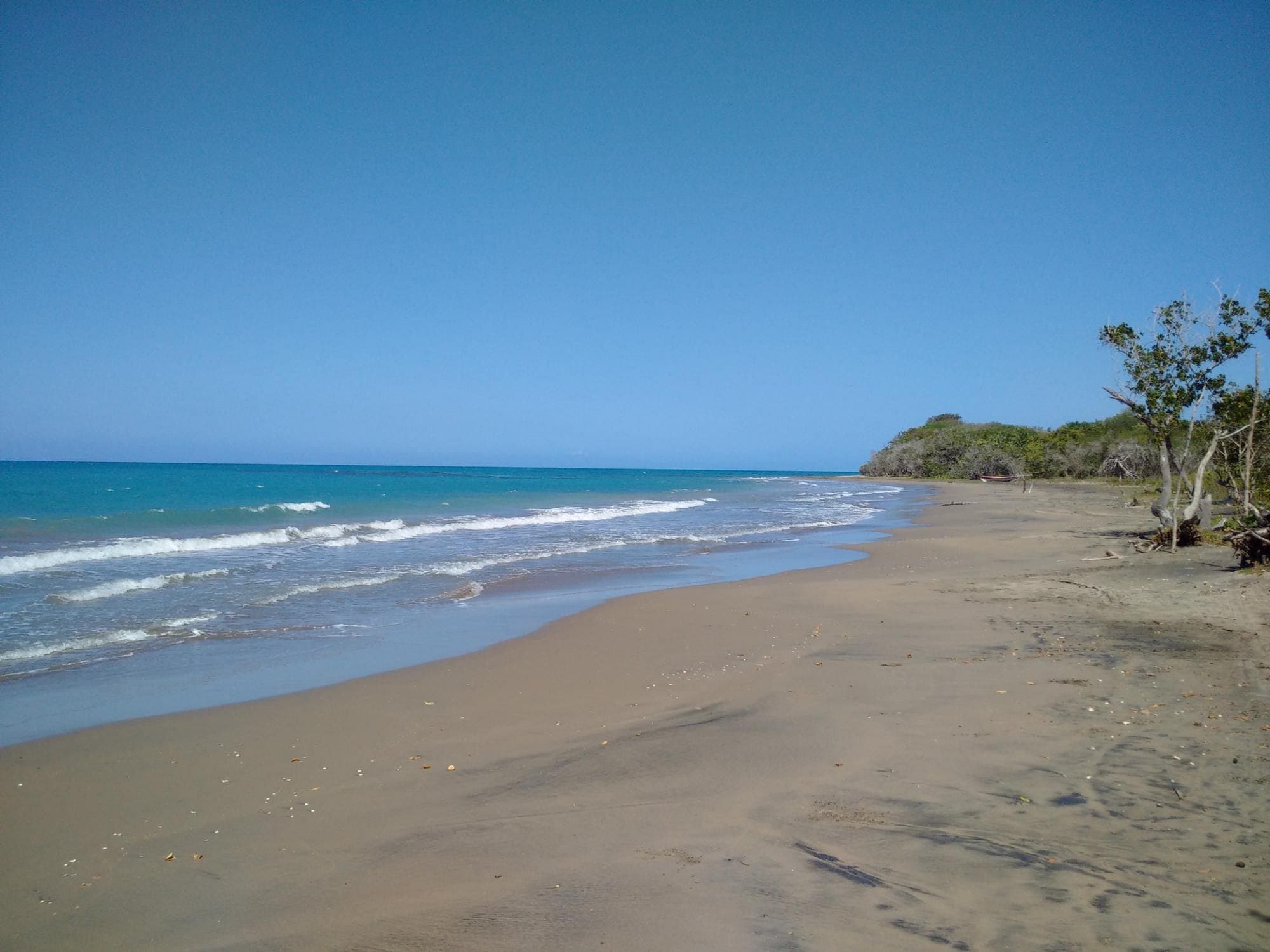 Treasure Beach